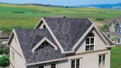 BTM Shingle Dragon Duman