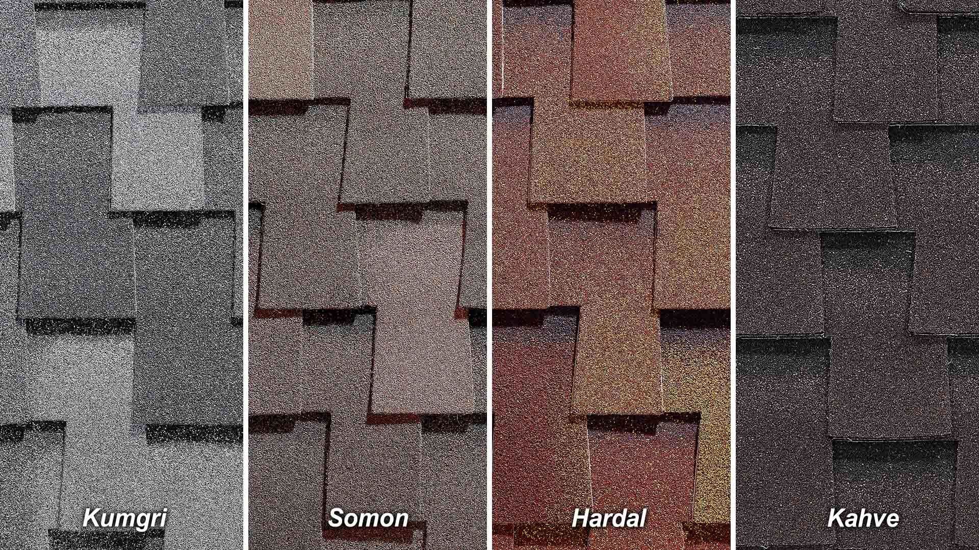 BTM Shingle Dragon Hardal