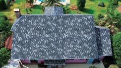 BTM Shingle Dragon Kırmızı