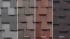 BTM Shingle Dragon Somon